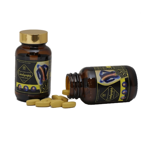 Đông Trùng Hạ Thảo Cordyceps Xương Khớp