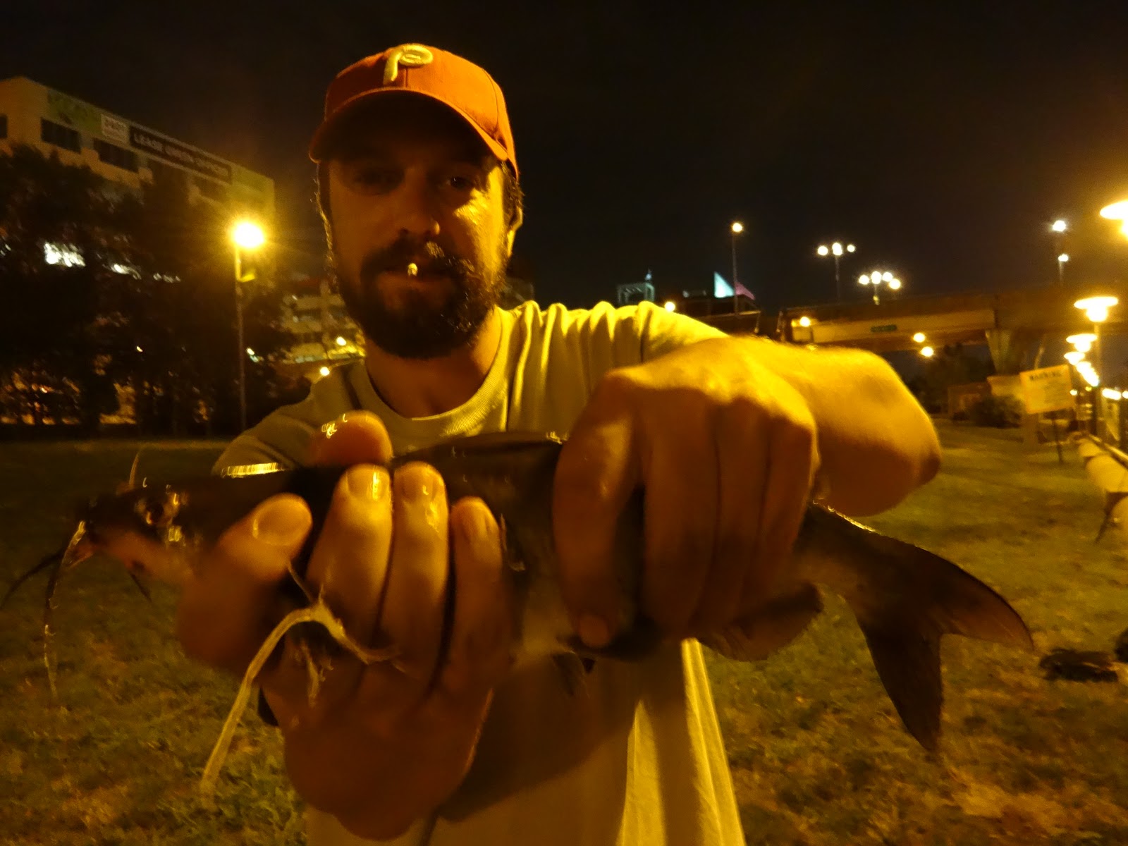 Extreme Philly Fishing Catfish Season is Open! "Catfishing" 101 Are