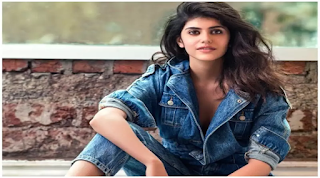 Sanjana Sanghi Filmography, Roles, Verdict (Hit / Flop), Box Office Collection, And Others