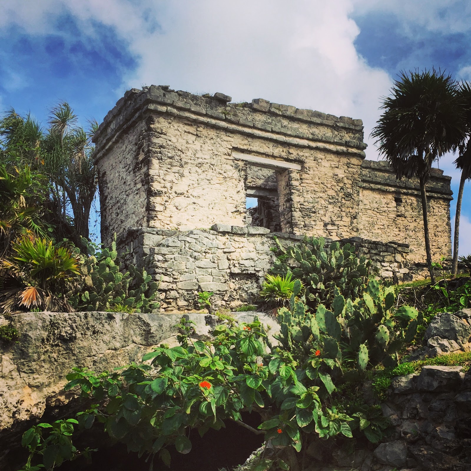 Antiquity Travelers Hiking the Yucatan Tulum