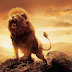 Top 10 Lion Pictures for whatsapp DP 