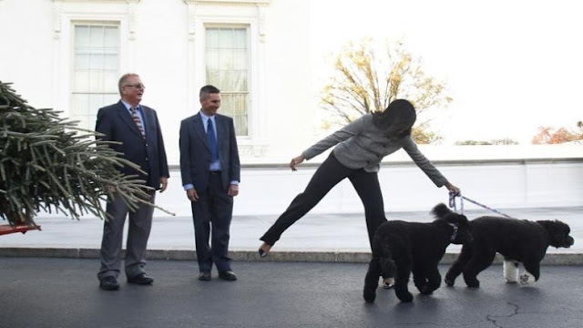 anjing keluarga obama