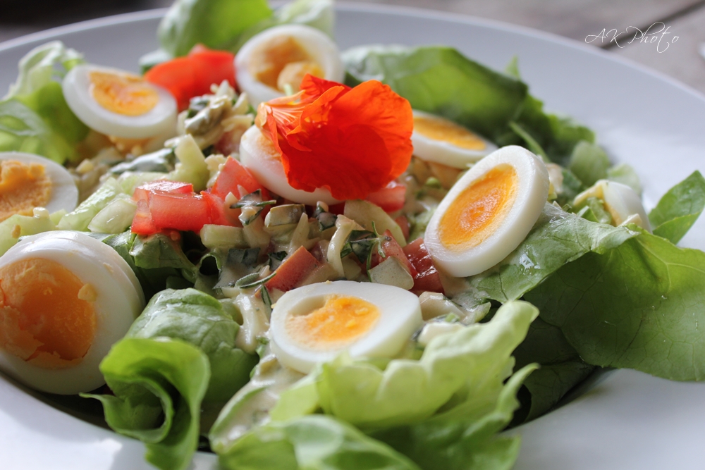 Wolkenfees Küchenwerkstatt: Grüner Salat mit Eiern, Tomaten, Salatgurke ...