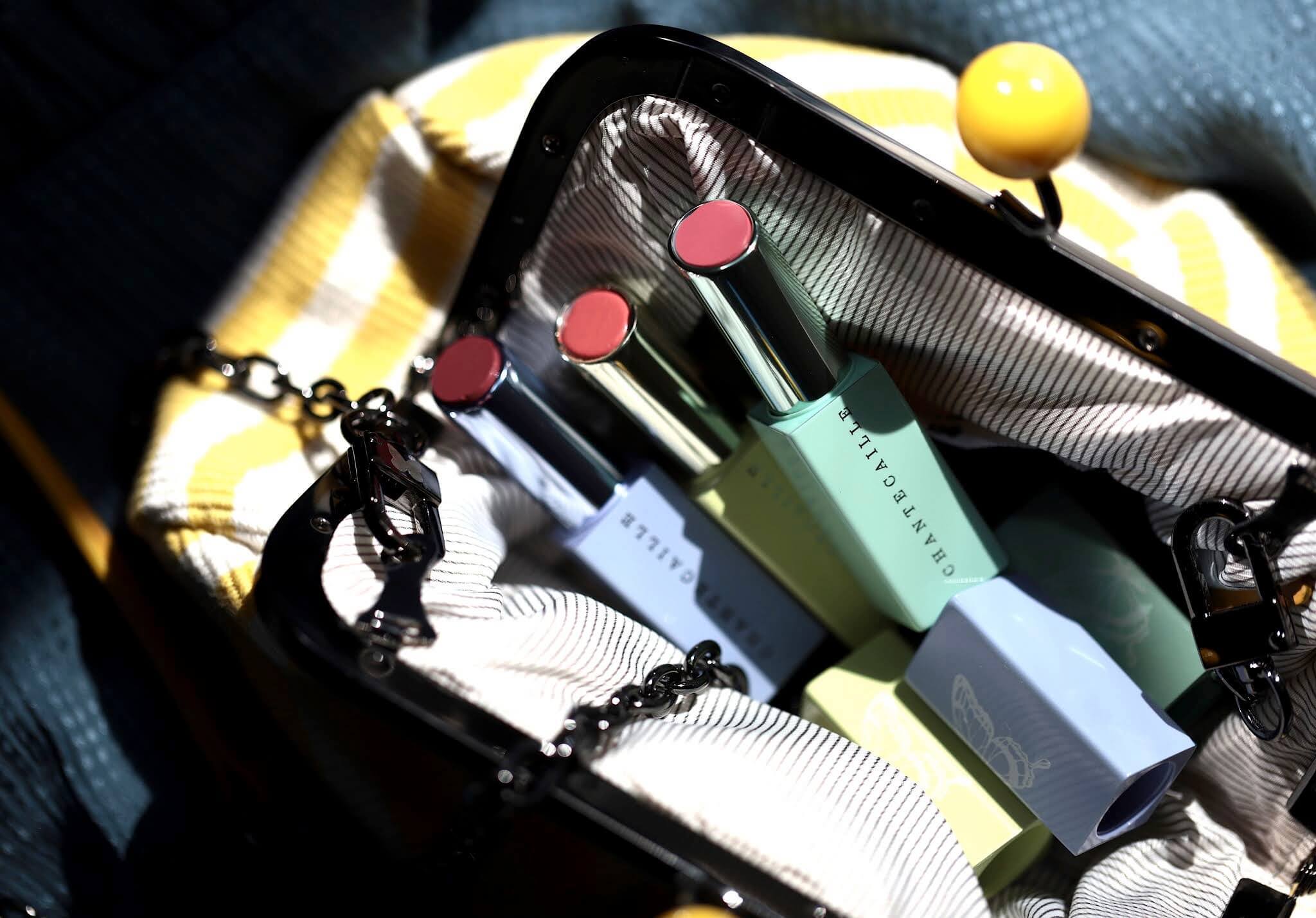 Lip Chic Que Vaut Le Gloss en Stick de Chantecaille ? kleo beauté