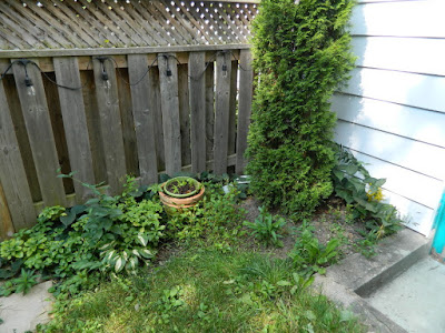 Riverdale backyard Toronto fall cleanup before by Paul Jung Gardening Services Riverdale backyard Toronto fall cleanup before by Paul Jung Gardening Services