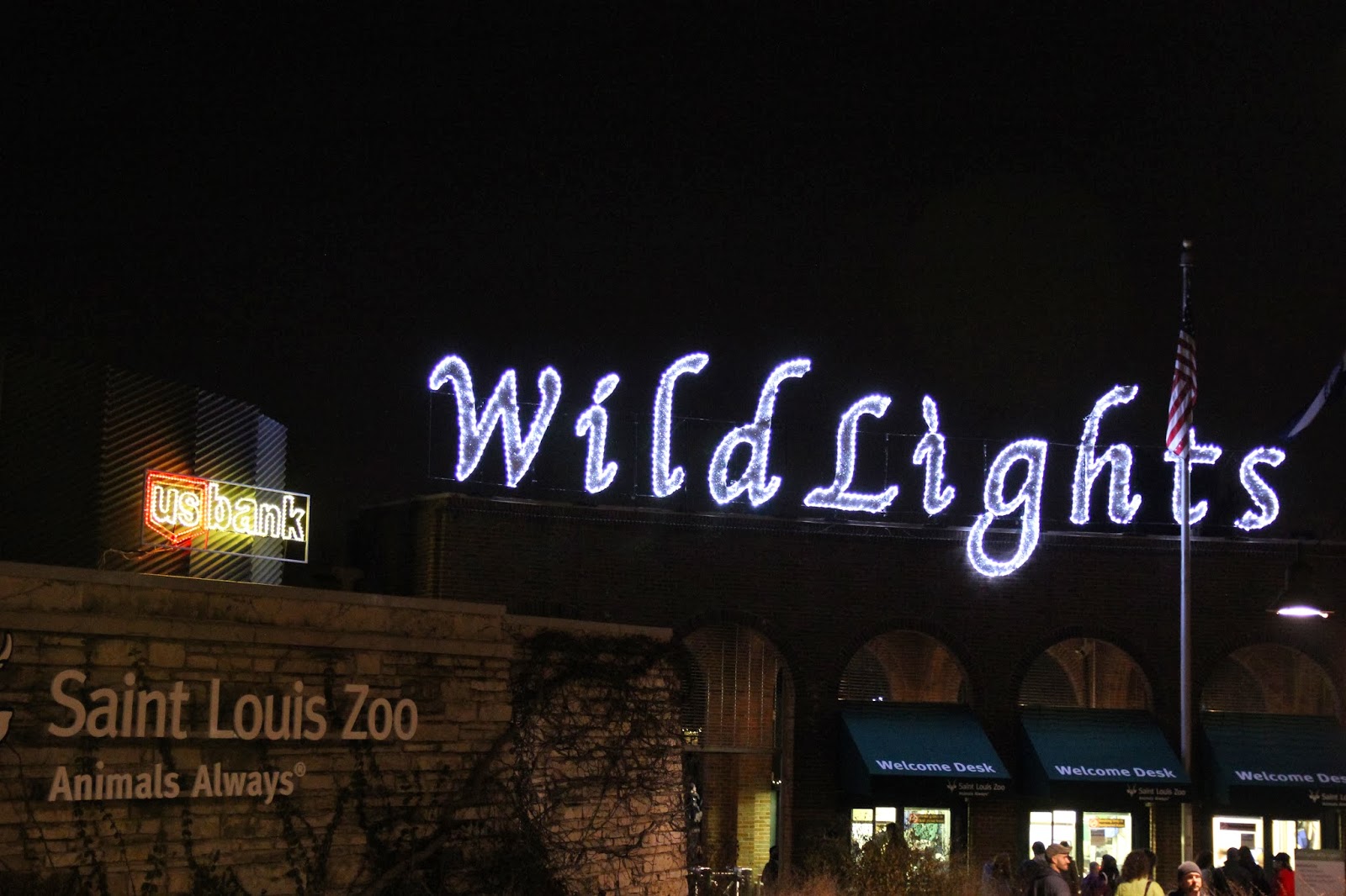 Saint Louis Adventures: Wild Lights at the St Louis Zoo