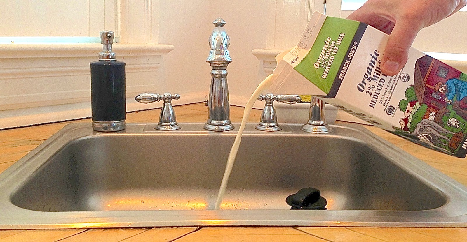 second lives club Should you Eliminate Dairy in your Diet?