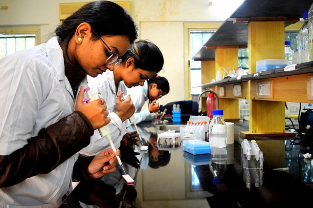 Image Attribute: Research students at School of Biological Sciences and Biotechnology, IAR Gandhinagar  / Source: IAR Gandhinagar, Flickr, Creative Commons
