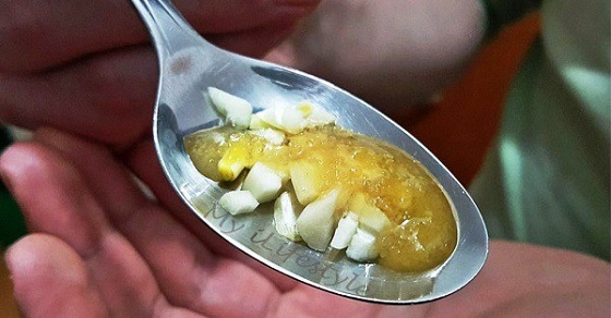 health-benefits-of-garlic-and-honey-on-empty-stomach