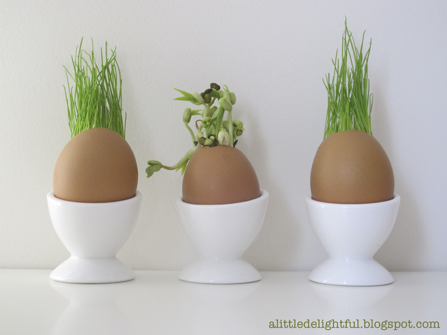 a little delightful: grass seed egg plantings