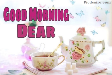 Good Morning Dear | 30 Good Morning My Dear Images Good Morning Dear | 30 Good Morning My Dear Images
