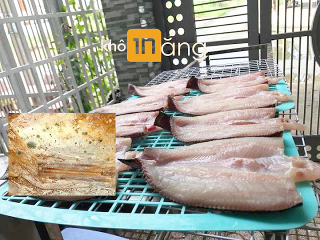 Nhận biết khô cá sạch và khô cá móc bẩn Nhận biết khô cá sạch và khô cá móc bẩn