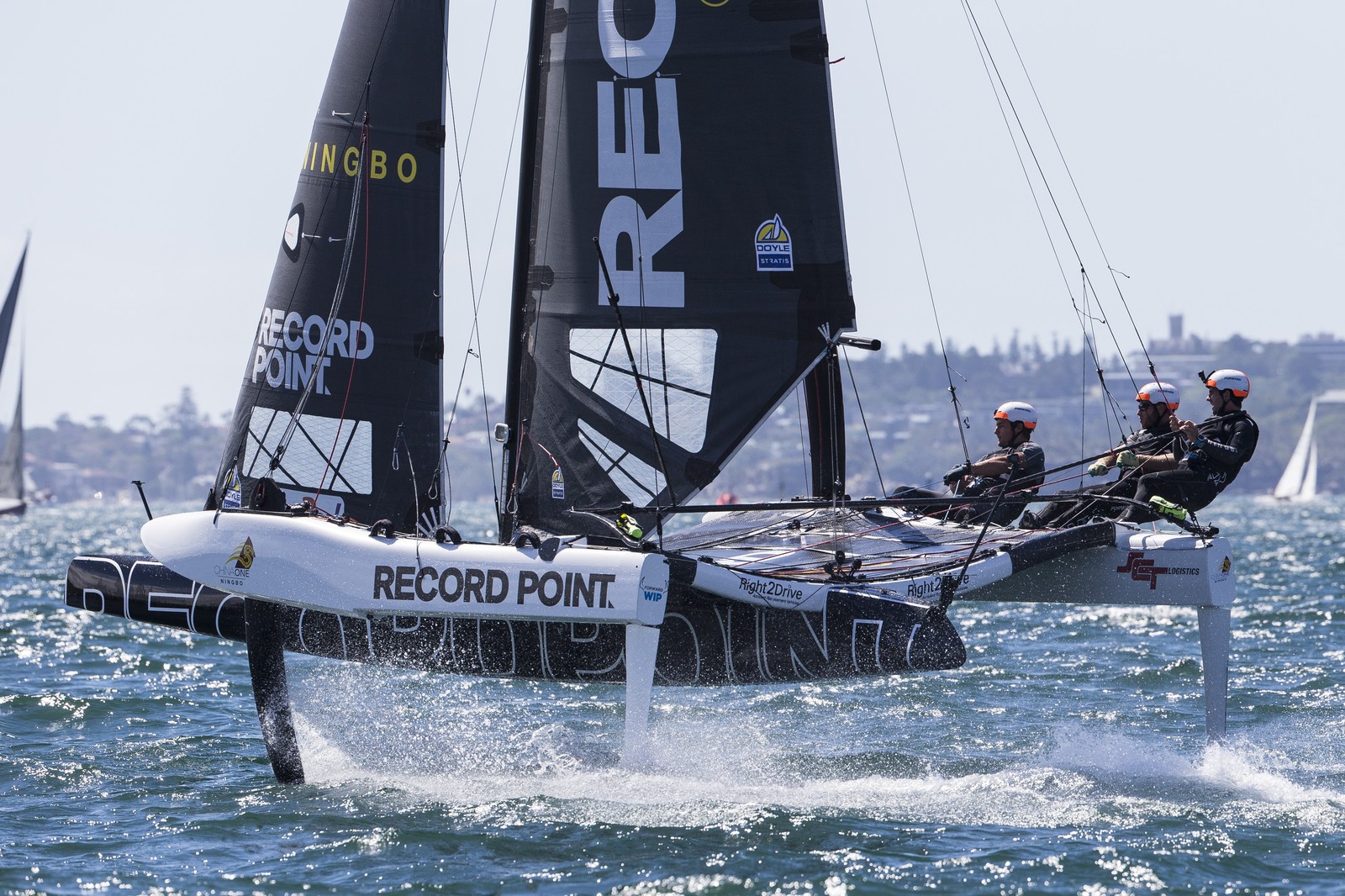 foil catamaran racing sydney