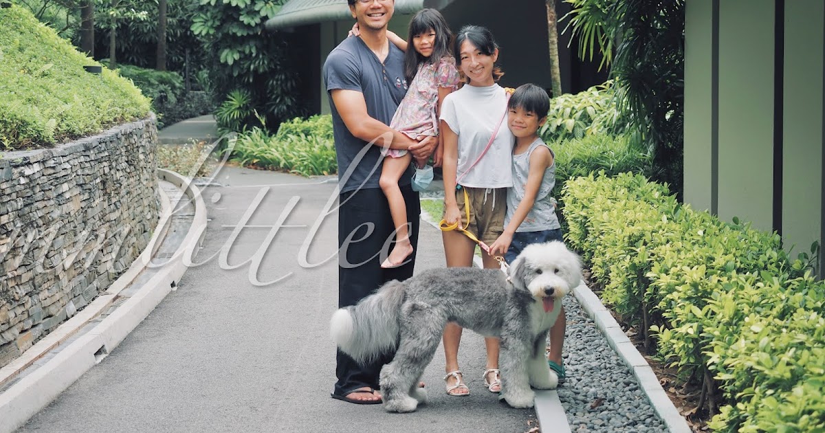 a million little echoes