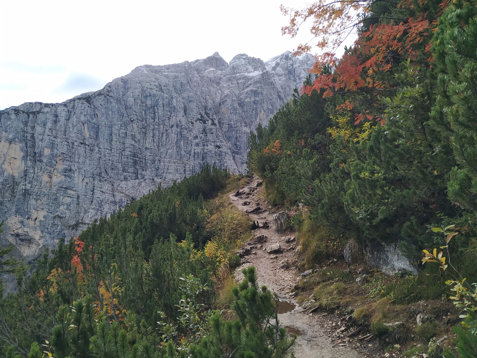 Día 7. Excursión al Lago Sorapis. - Dolomitas Octubre 2019 (2)