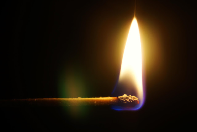 Halo Dariku, Kenangan yang Menjadi Tempat Penyimpan Hidupmu Halo Dariku, Kenangan yang Menjadi Tempat Penyimpan Hidupmu