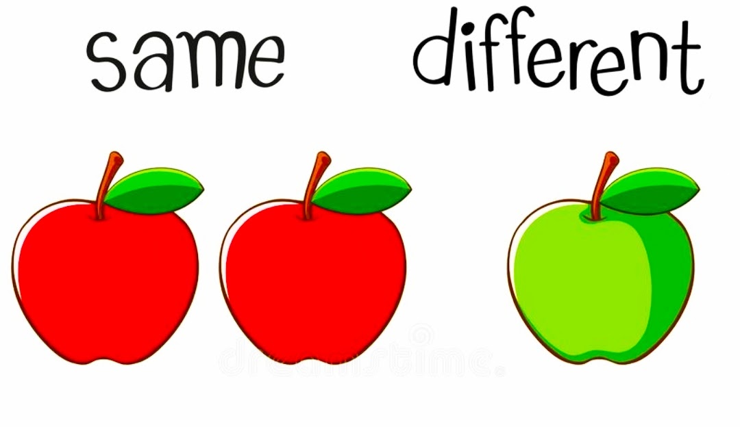 Teach Kids About The Concept of Same & Different