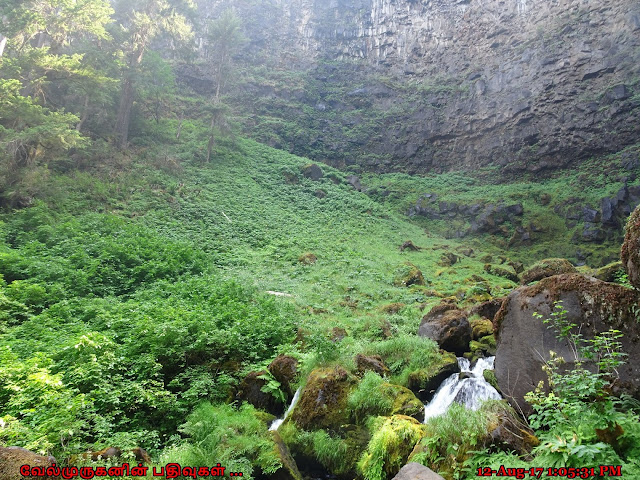 Water Falls Umpqua National Forest