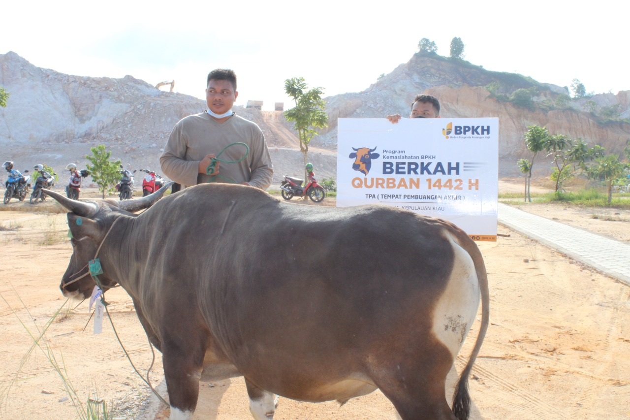 BPKH dan DT Peduli Batam Tebar Qurban di TPA Punggur
