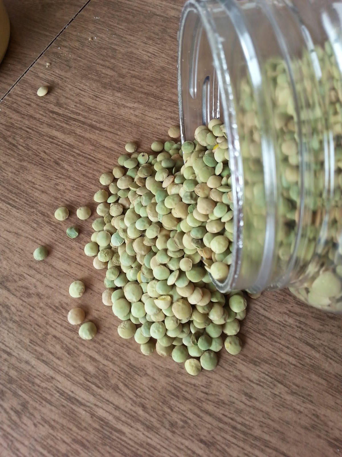 Jean's Greens Lentil growing at home