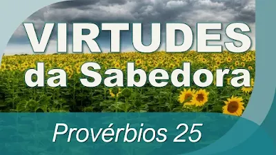 pregação provérbios 25