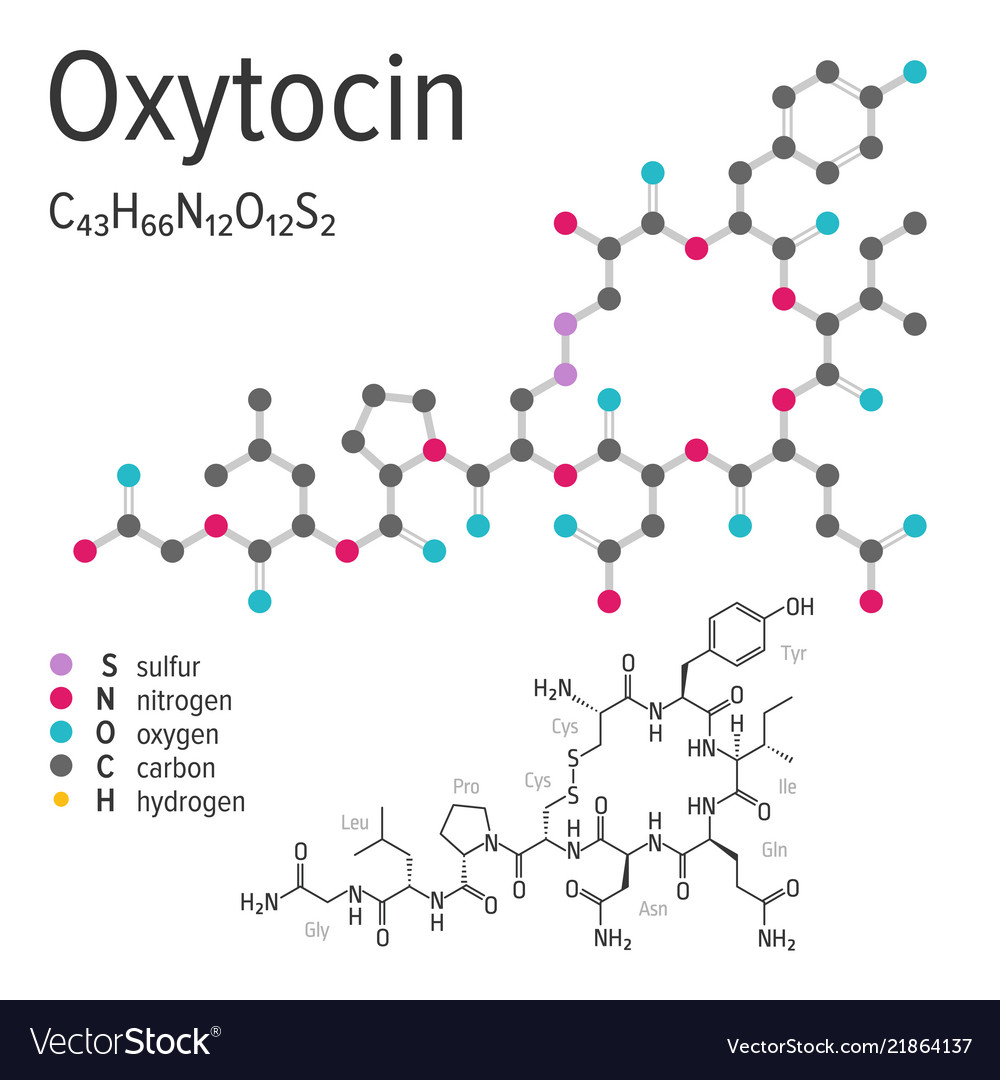 Top Oxytocin And Touch As A Means Of Connection In Online Relationships in the world Check it out now 