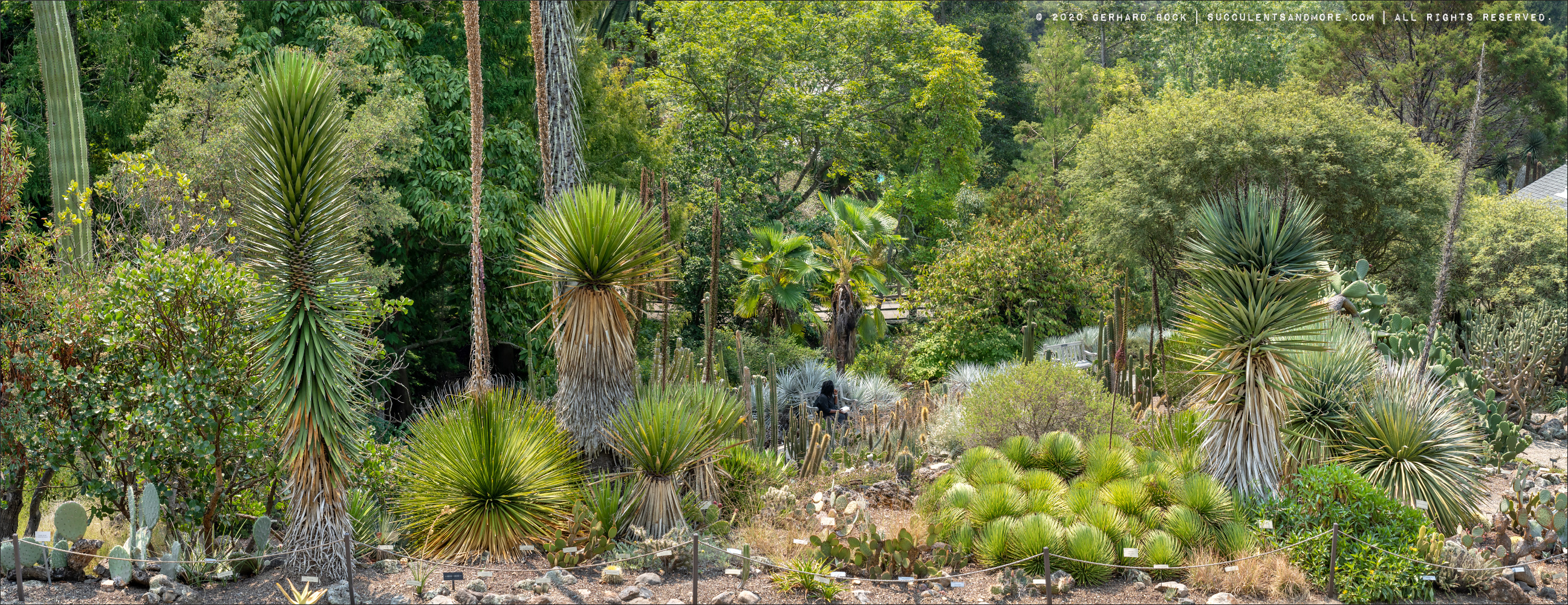 Vegetable Garden Kitchen Towel – UC Botanical Garden at Berkeley