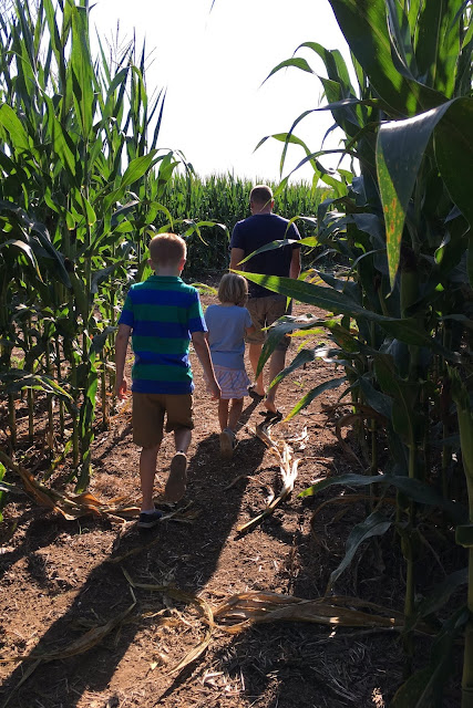 Stroll through the Corn Maze