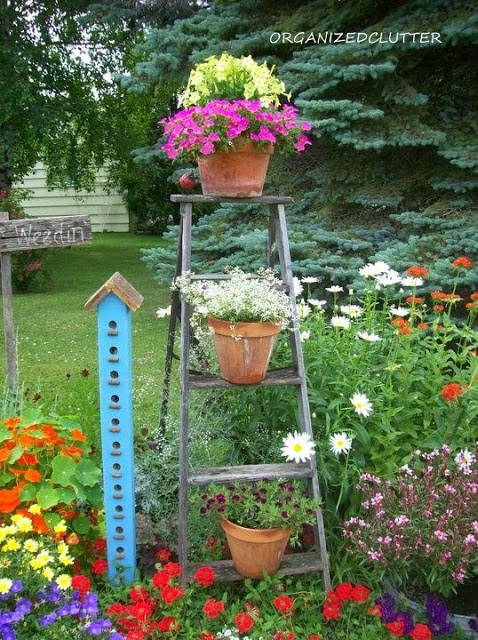 Photo of a stepladder in the the garden