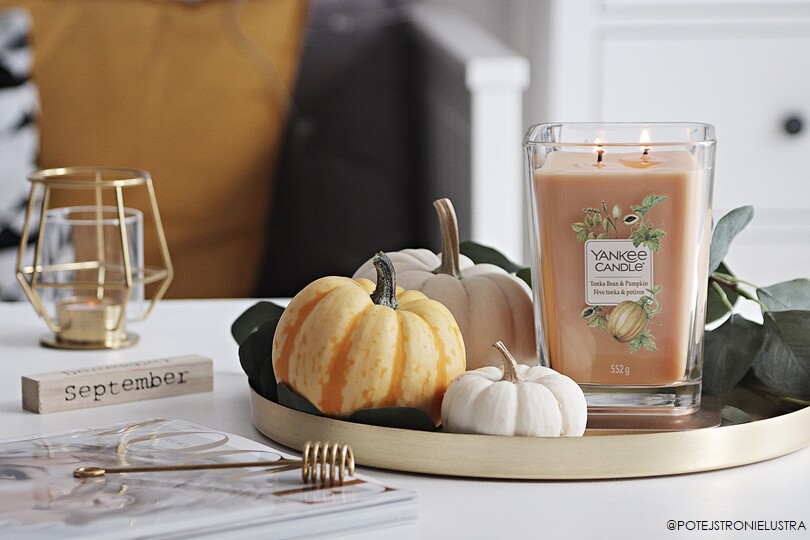 Tonka Bean & Pumpkin Yankee Candle Słodka dynia na jesień Po tej