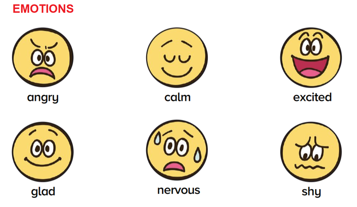 TEACHER ANNI Unit 5 Emotions