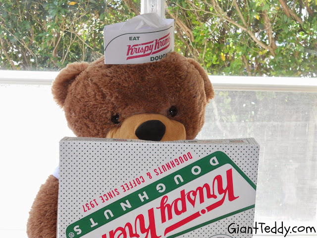 Sunny Cuddles, Giant Teddy Bear Donut Inspector
