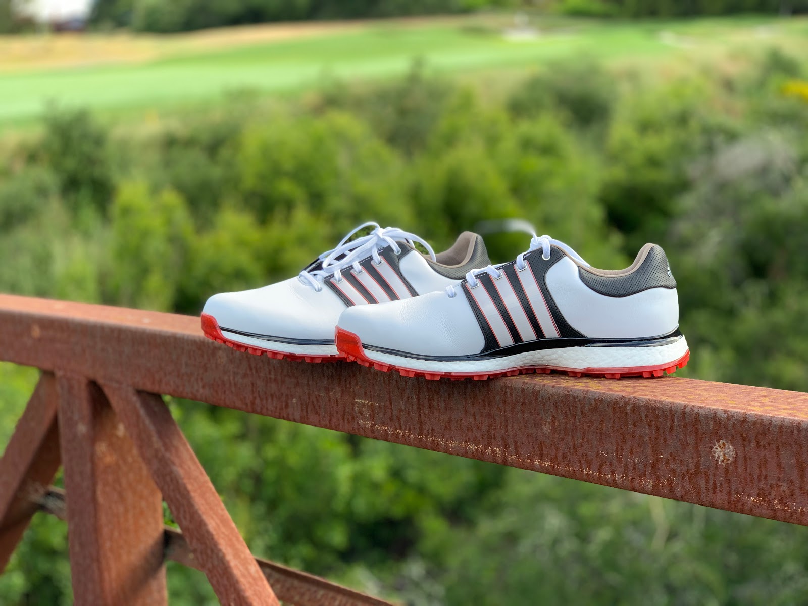 adidas men's tour360 xt golf shoes