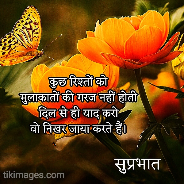 500 Good Morning Quotes In Hindi With Photo For Whatsapp Free Shayari Hd Images And Whatsapp Dp Images Good Morning Images Quotes Good Night Pics