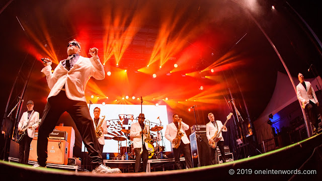 The Mighty Mighty Bosstones at Riverfest Elora on Sunday, August 18, 2019 Photo by John Ordean at One In Ten Words oneintenwords.com toronto indie alternative live music blog concert photography pictures photos nikon d750 camera yyz photographer summer music festival guelph elora ontario