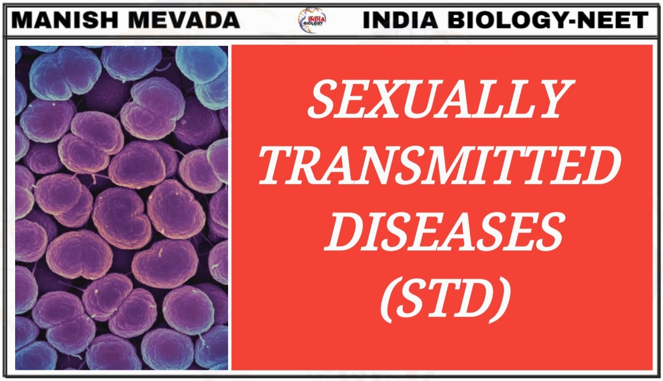 Sexually Transmitted Diseases STD NEET BIOLOGY sexually-transmitted-diseases-std-neet-biology