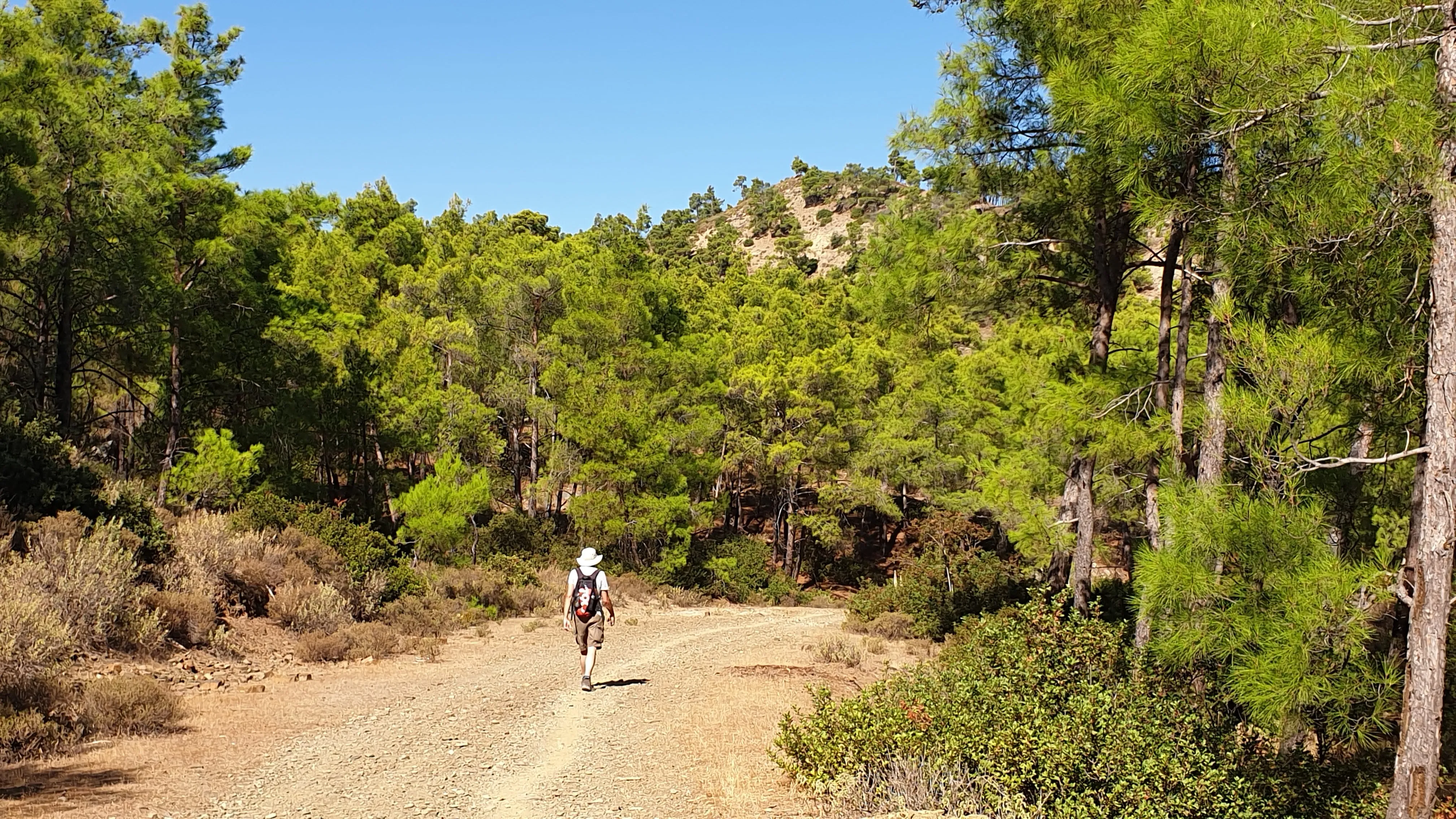 The well trudged track along the dirt road