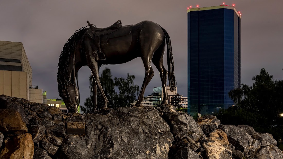 фотографии ночью