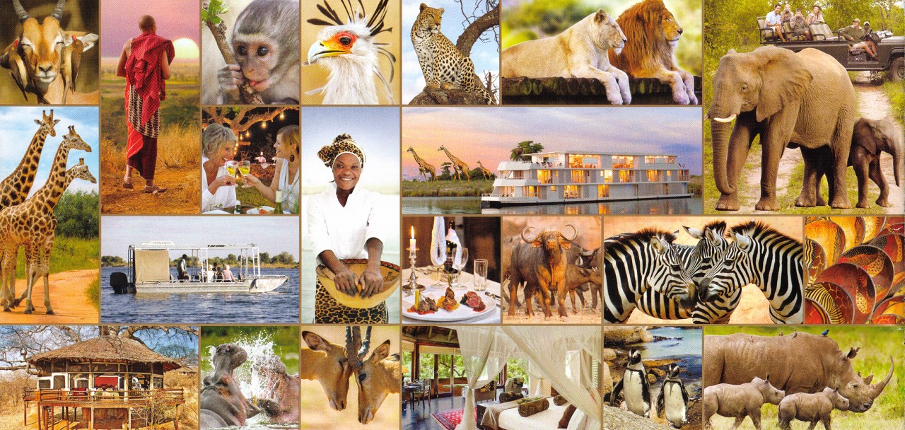 Африки животный география. Африка коллаж. Коллаж путешествие в Африку. Коллаж с животными Африки. Фотоколлаж по Африке.