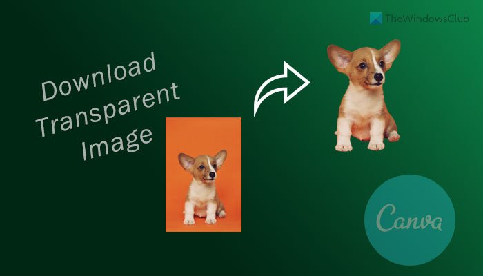 Comment télécharger une image ou un logo transparent depuis Canva