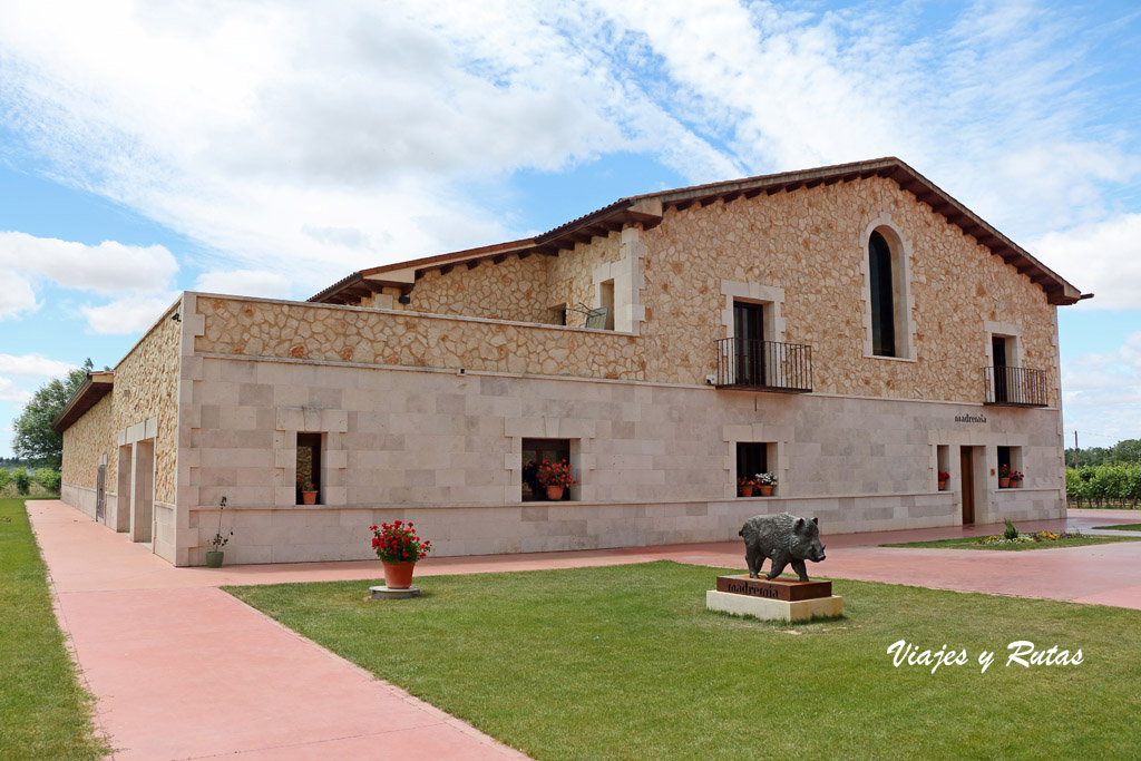 Restaurante Divina proporción, Toro