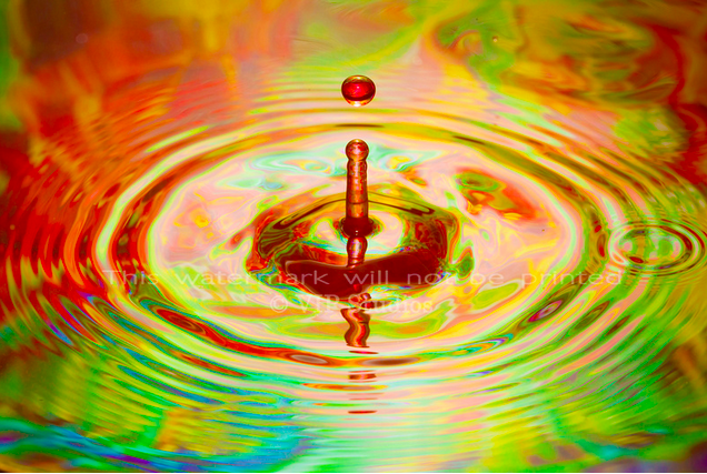 WD2_6543 Water Droplet Photo Print