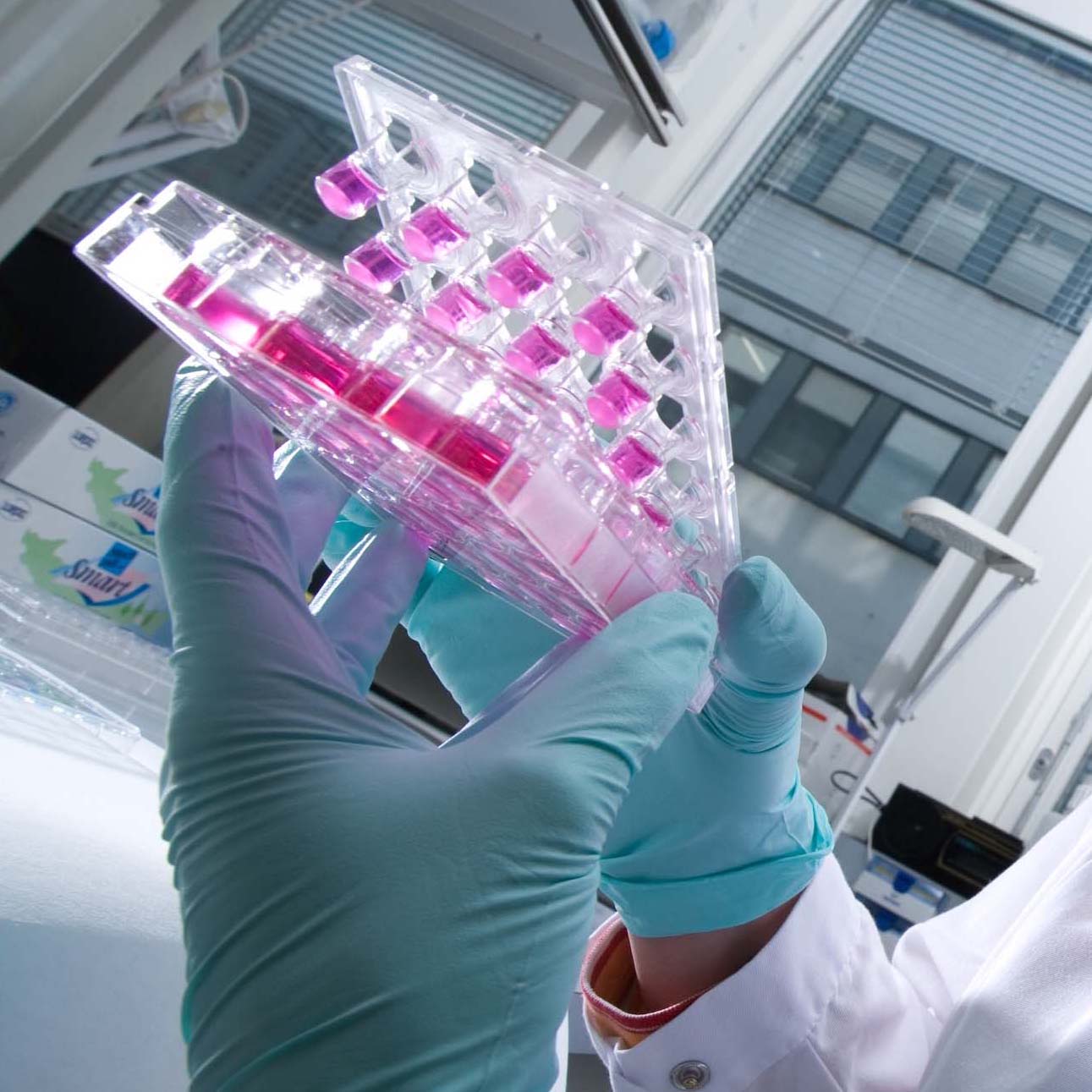 Can you pass a hair drug test even if you know you have been taking