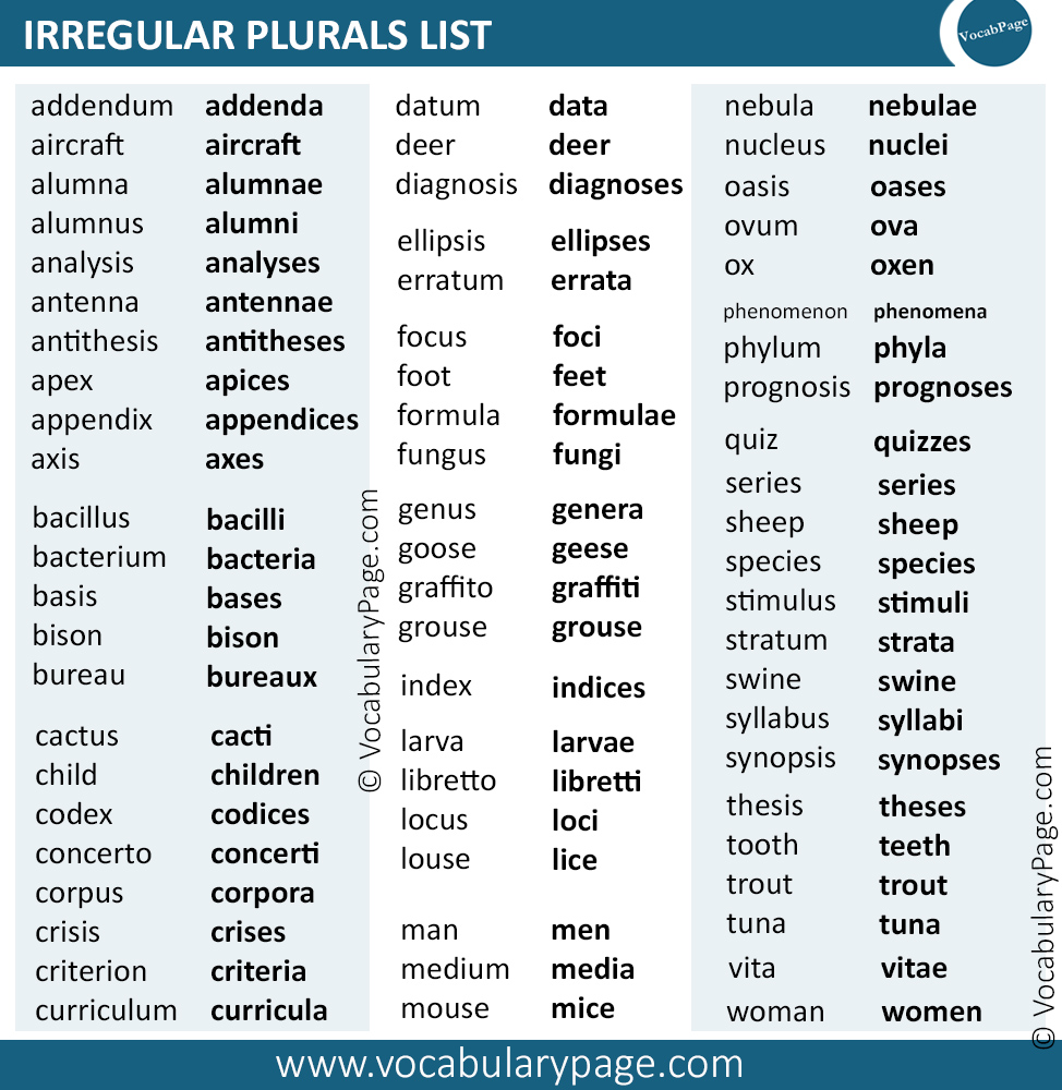 Plural Of Irregular Nouns Worksheet Informational
