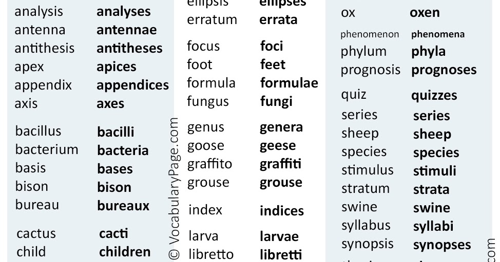 Irregular plural nouns