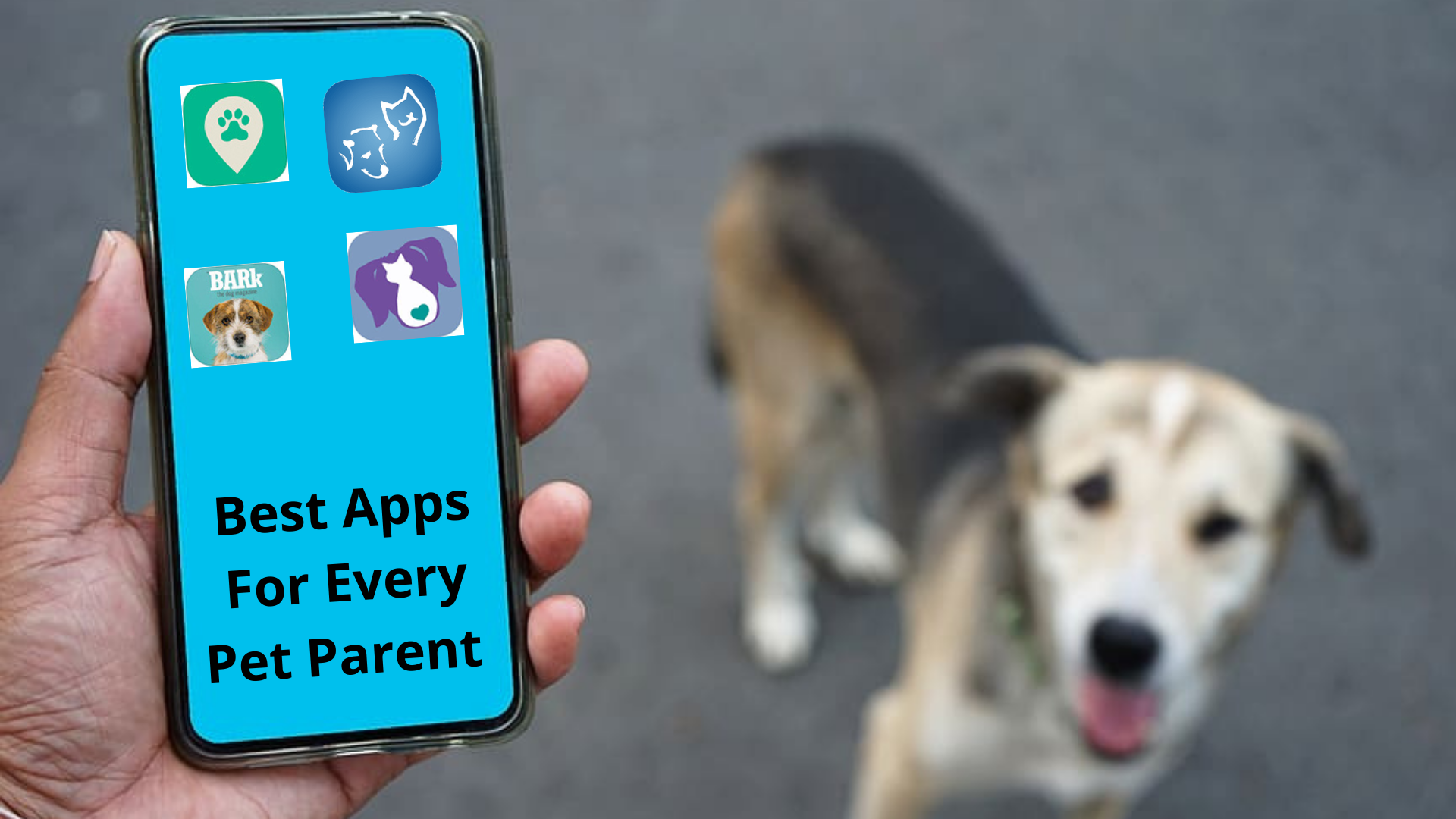 9 Best Apps For Every Pet Parent