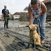 Προετοιμάστε και τον σκύλο σας για φυσικές καταστροφές 