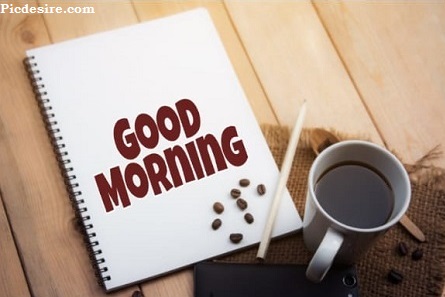 Cute Good Morning Images for Whatsapp | Best 21 Cute Good morning Photo Cute Good Morning Images for Whatsapp | Best 21 Cute Good morning Photo