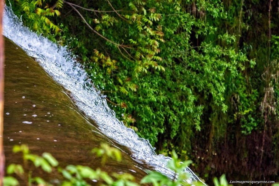 Parque Natural del Monasterio de Piedra