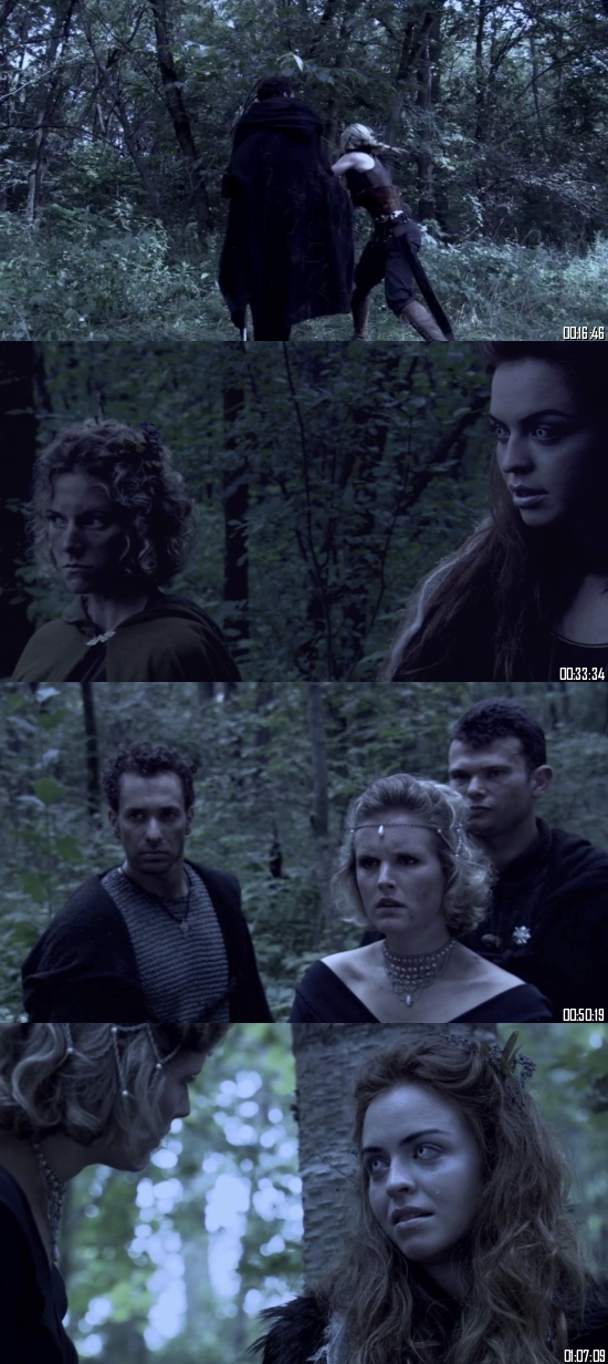 Dragon 2006 BRRip 720p 480p Dual Audio Hindi English Full Movie Download